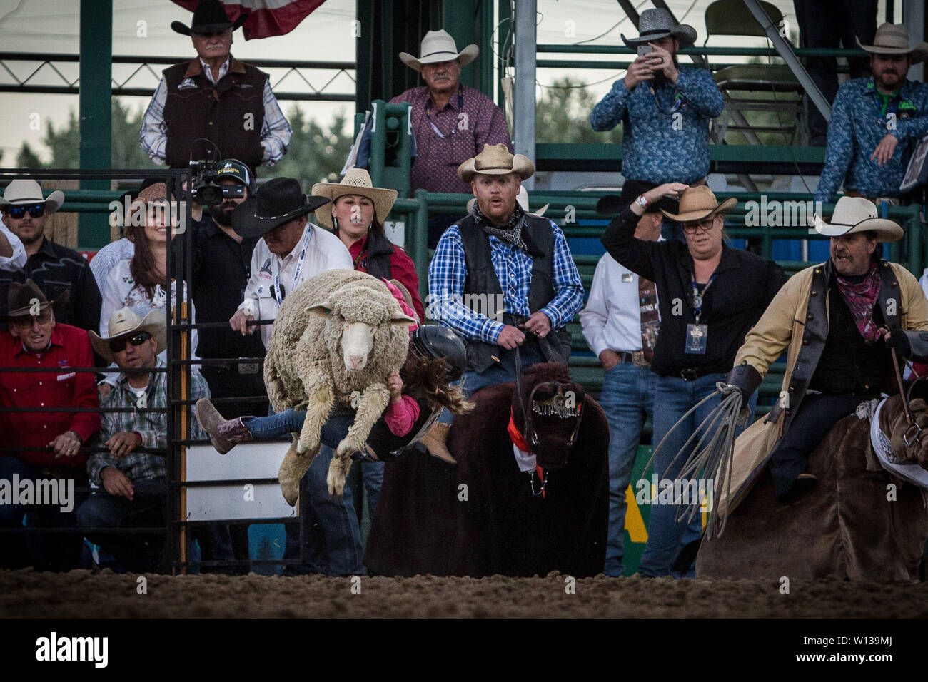 Reno, Nevada, USA. 29th June, 2019. A young contestant competes in the ...
