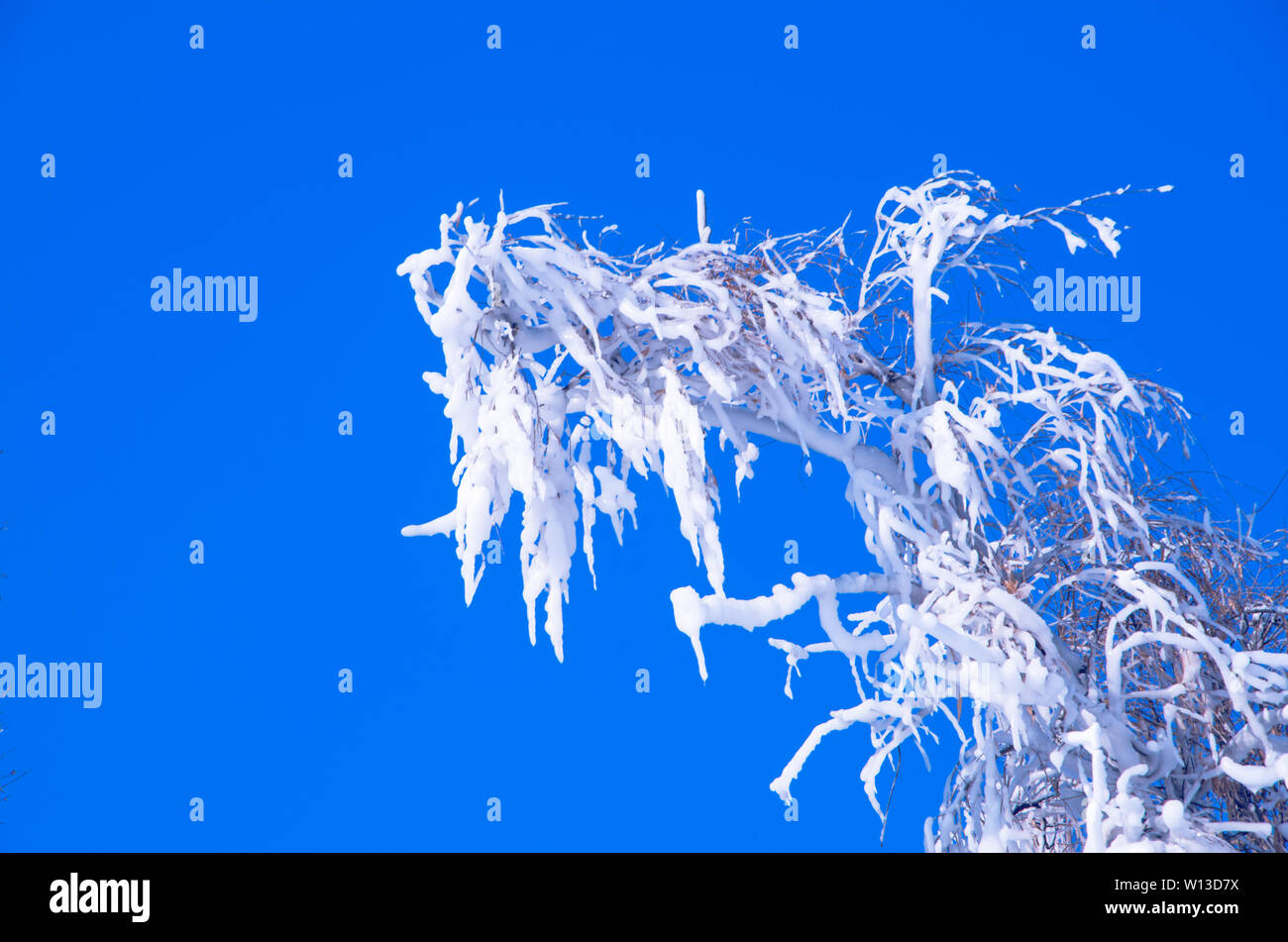 White fog blue background cold hi-res stock photography and images - Alamy