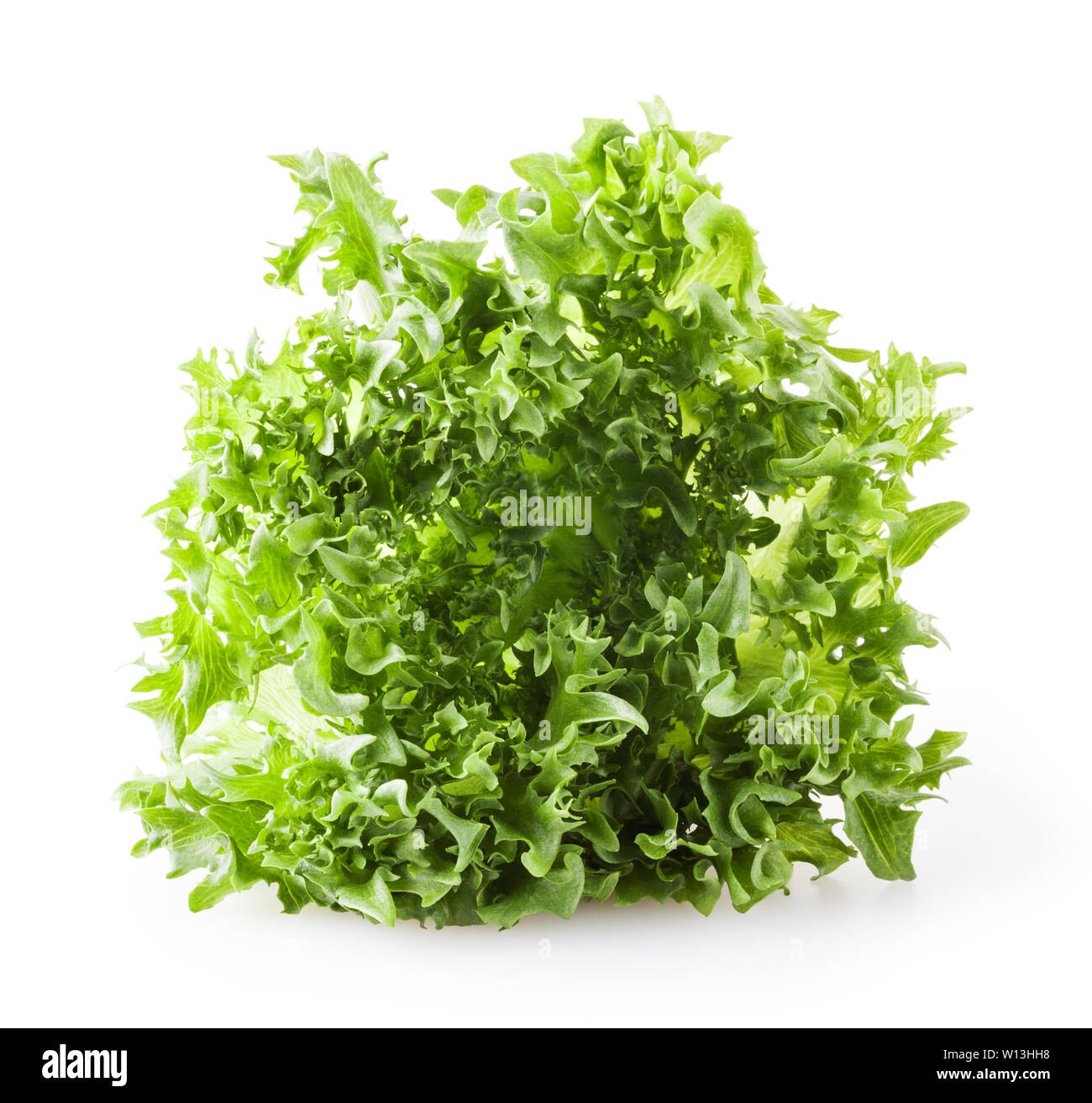 Fresh lettuce isolated on white background Stock Photo