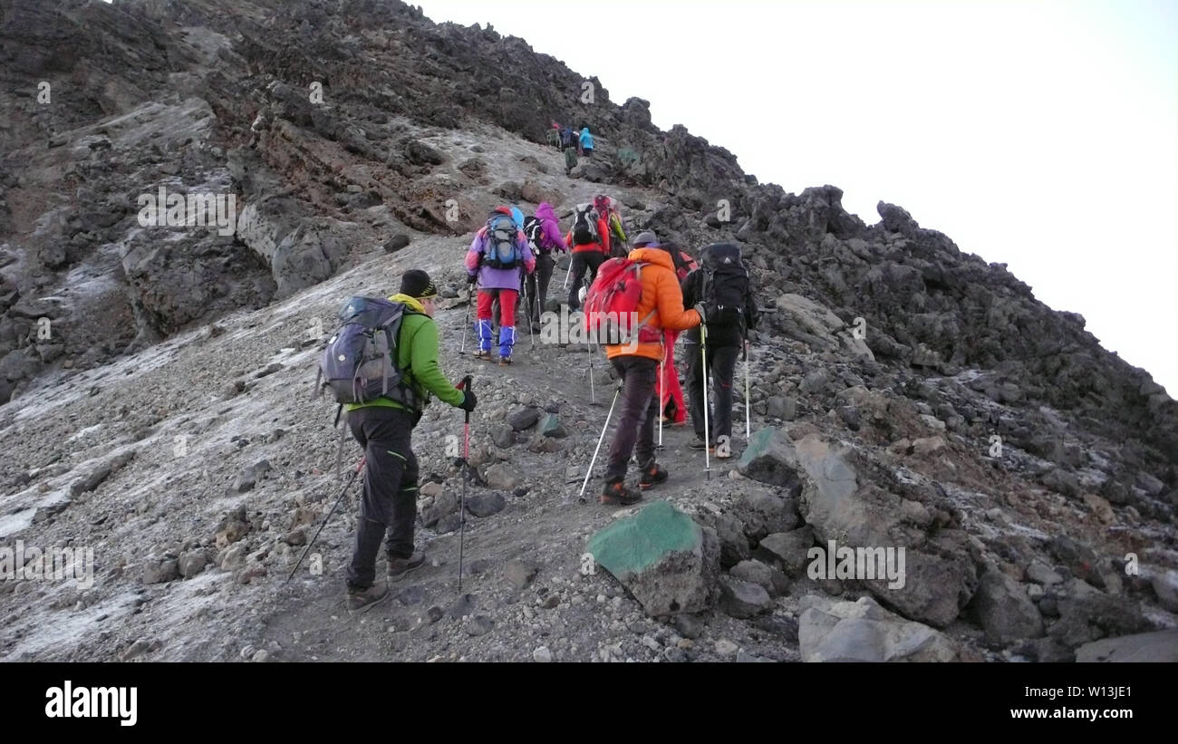 Arusha National Park, Kilimanjaro Province / Tanzania 1. January 2016