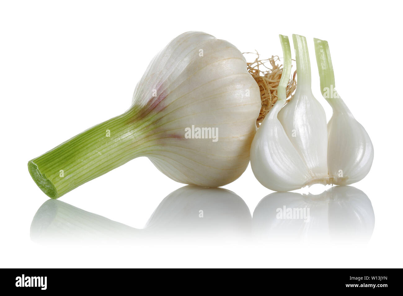 Fresh garlic bulb with garlic clove isolated on white background Stock