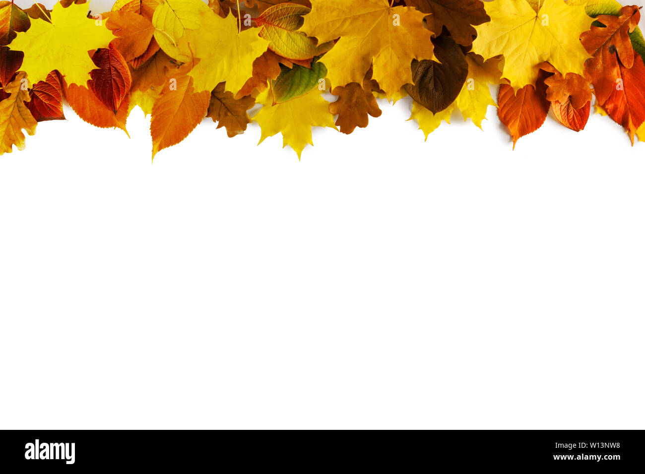 Autumn leaves border frame isolated on white background Stock Photo - Alamy