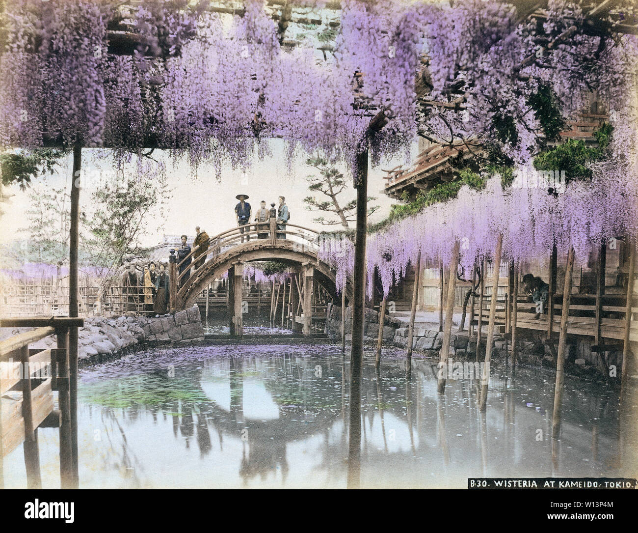 [ 1890s Japan - Wisteria at Kameido Tenjinja Shrine, Tokyo ] —   Arched bridge at Kameido Tenjinja Shrine in Tokyo. The Shinto shrine, famous for its bridge and Wisteria, is dedicated to poet scholar and statesman Sugawara no Michizane (845-903). It therefore attracts many students who pray here before their examinations.  19th century vintage albumen photograph. Stock Photo