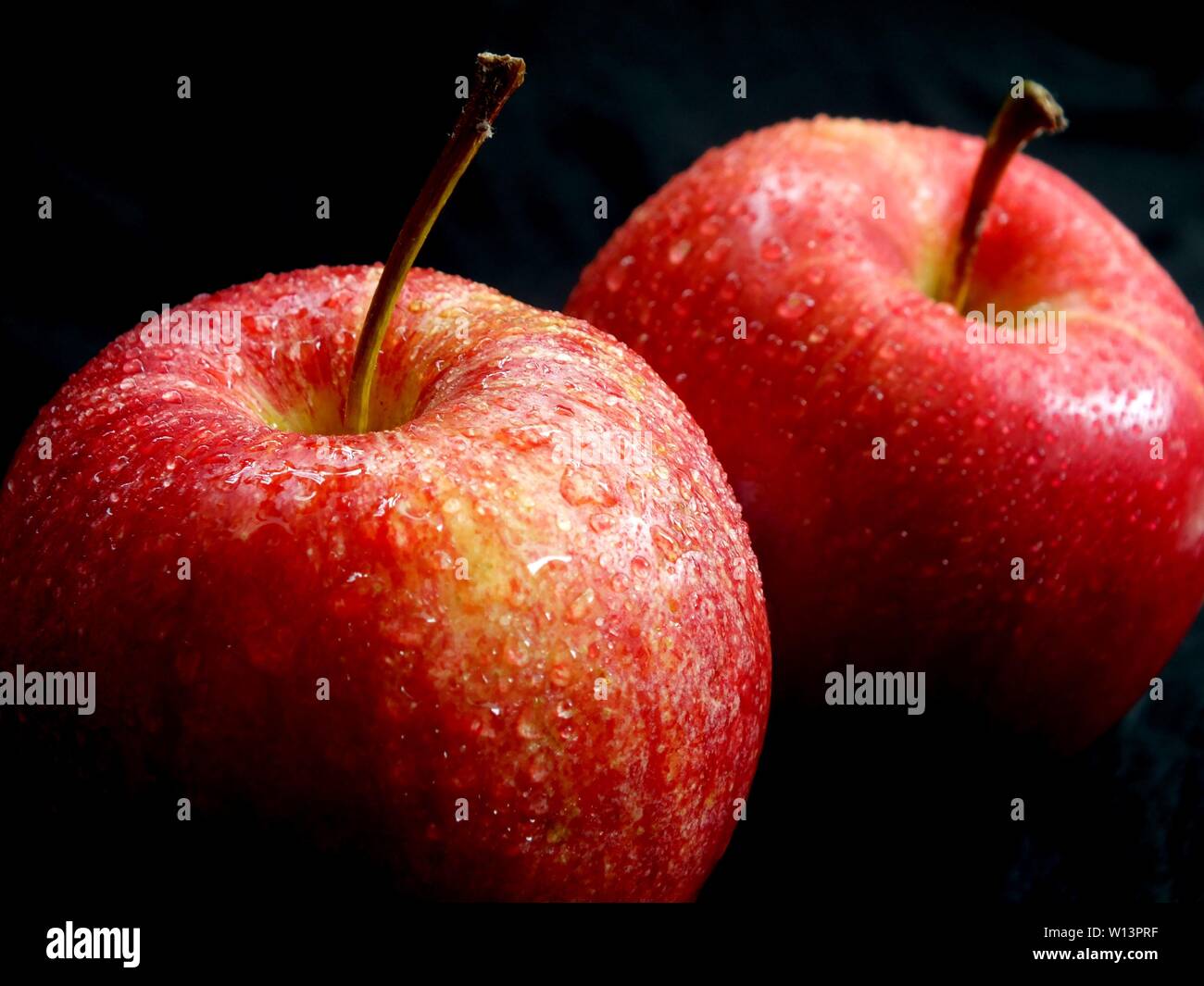 Green fruit, plant, red apple, apple, fruit, organic fruit Stock Photo