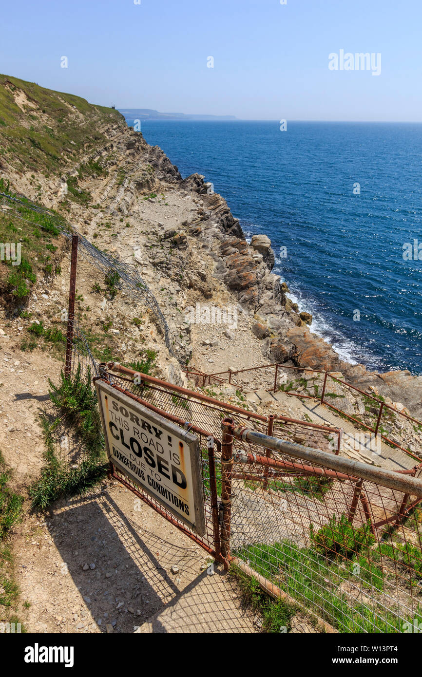 fossil forest natural feature near to lulworth cove, dorset, england, uk Stock Photo Alamy