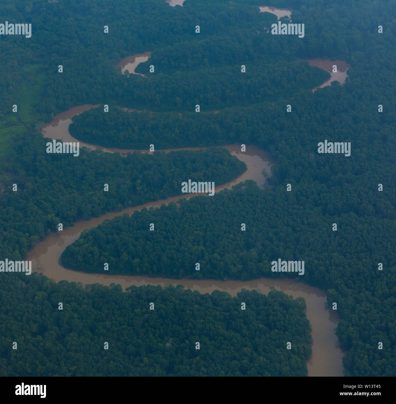 Rainforest, Panama, Central America, America Stock Photo