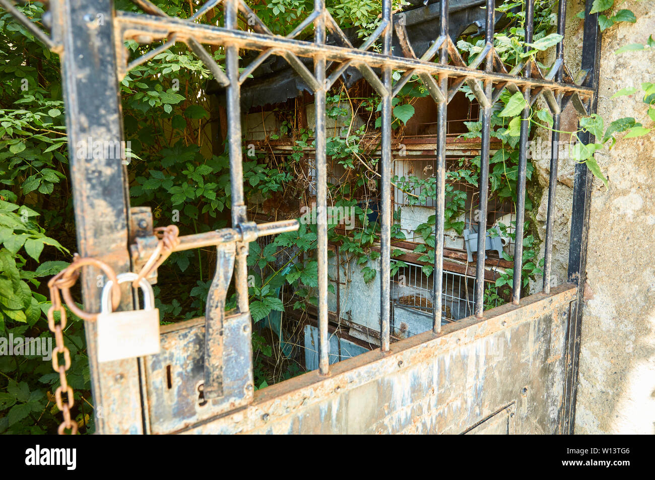 Neglected patio with old birdcages and overrun by vegetation behind a metal gate wtih a padlock in Gistaín (Chistau valley, Huesca, Aragon, Spain) Stock Photo