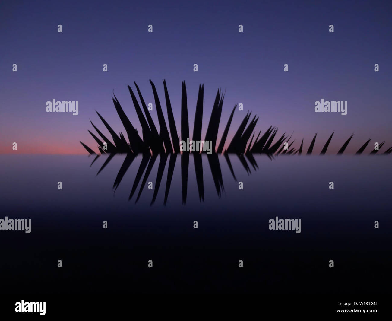 The sunset in autumn Stock Photo - Alamy