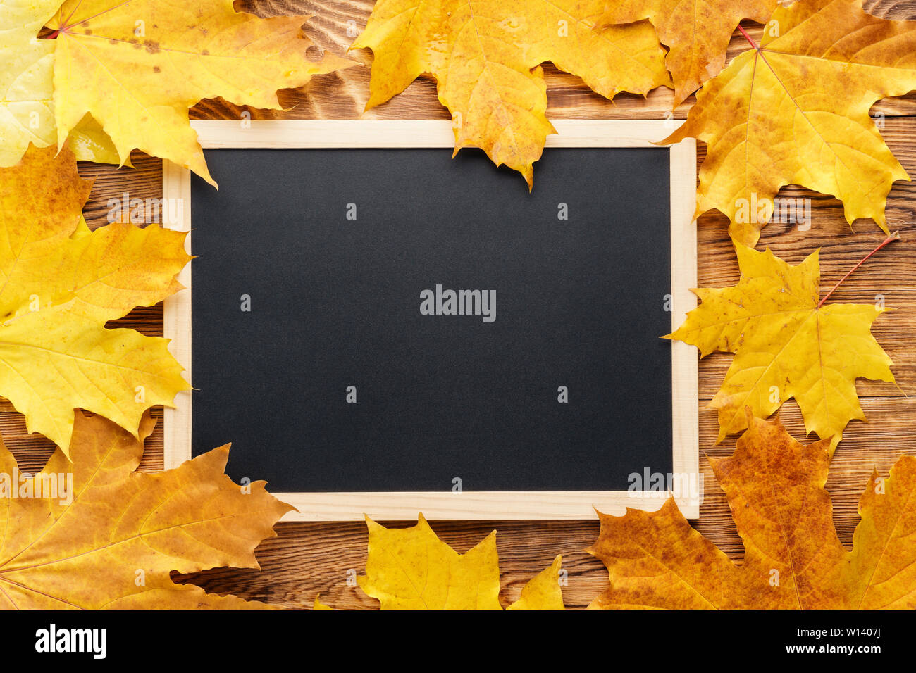 Yellow maple leaves around a chalkboard. Autumn or Fall seasonal frame background with copy space. Back to school concept. Stock Photo