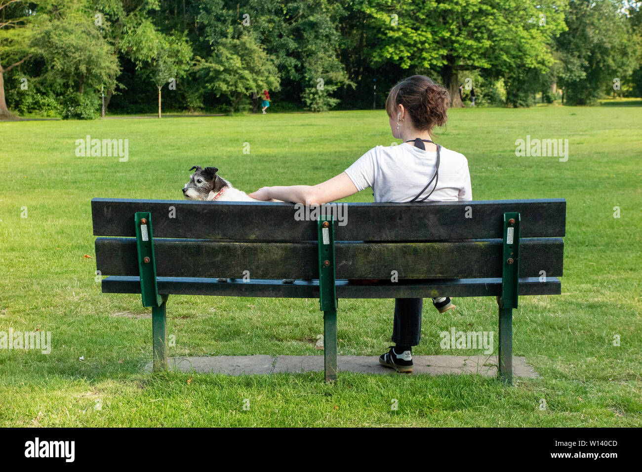 A girl sits on a bench with her Jack Russell dog Stock Photo - Alamy