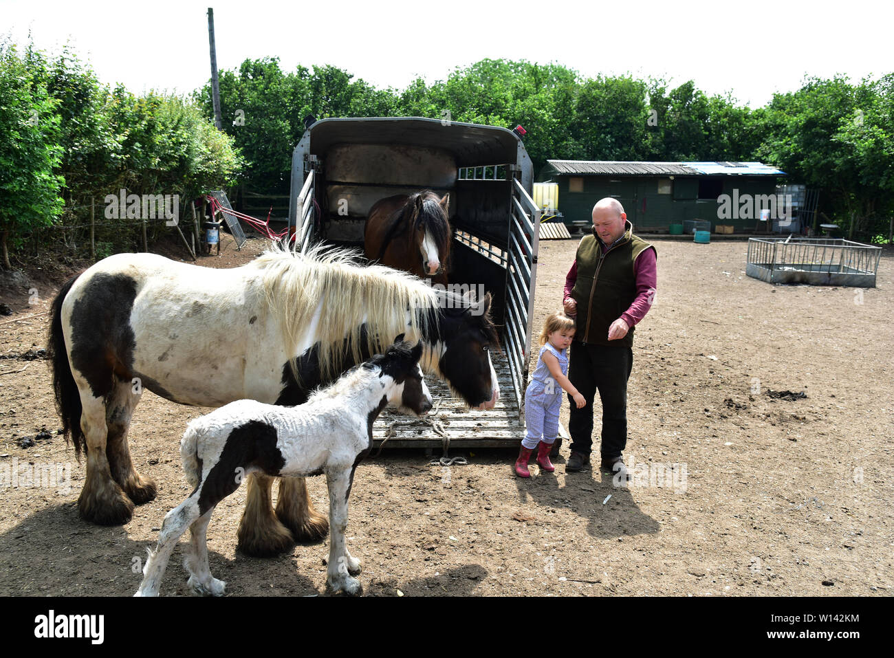 Romany Traveller Tom Price at home in Pencoed with his partner Luanne, and  daughter Maggie. He is also pictured at his smallholding with Galway Boss  Stock Photo - Alamy