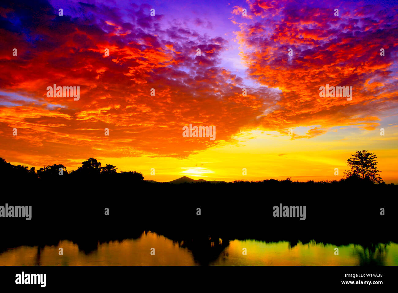 sunset beautiful colorful landscape and silhouette tree reflex water ...