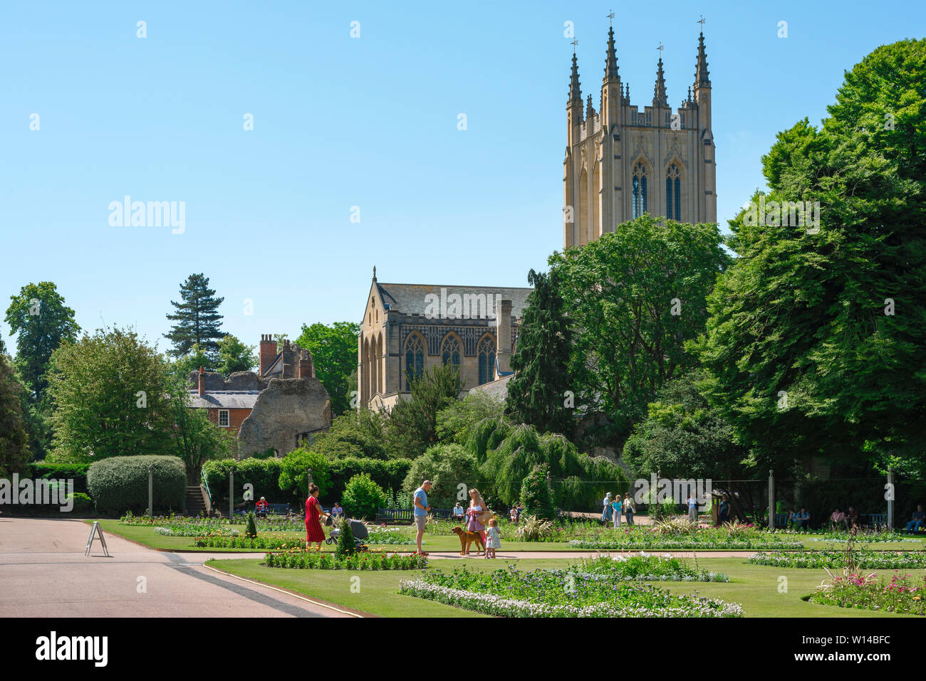 UK travel England, view in summer of the Abbey Gardens and tower of St Edmundsbury Cathedral in Bury St Edmunds, Suffolk, England, UK. Stock Photo
