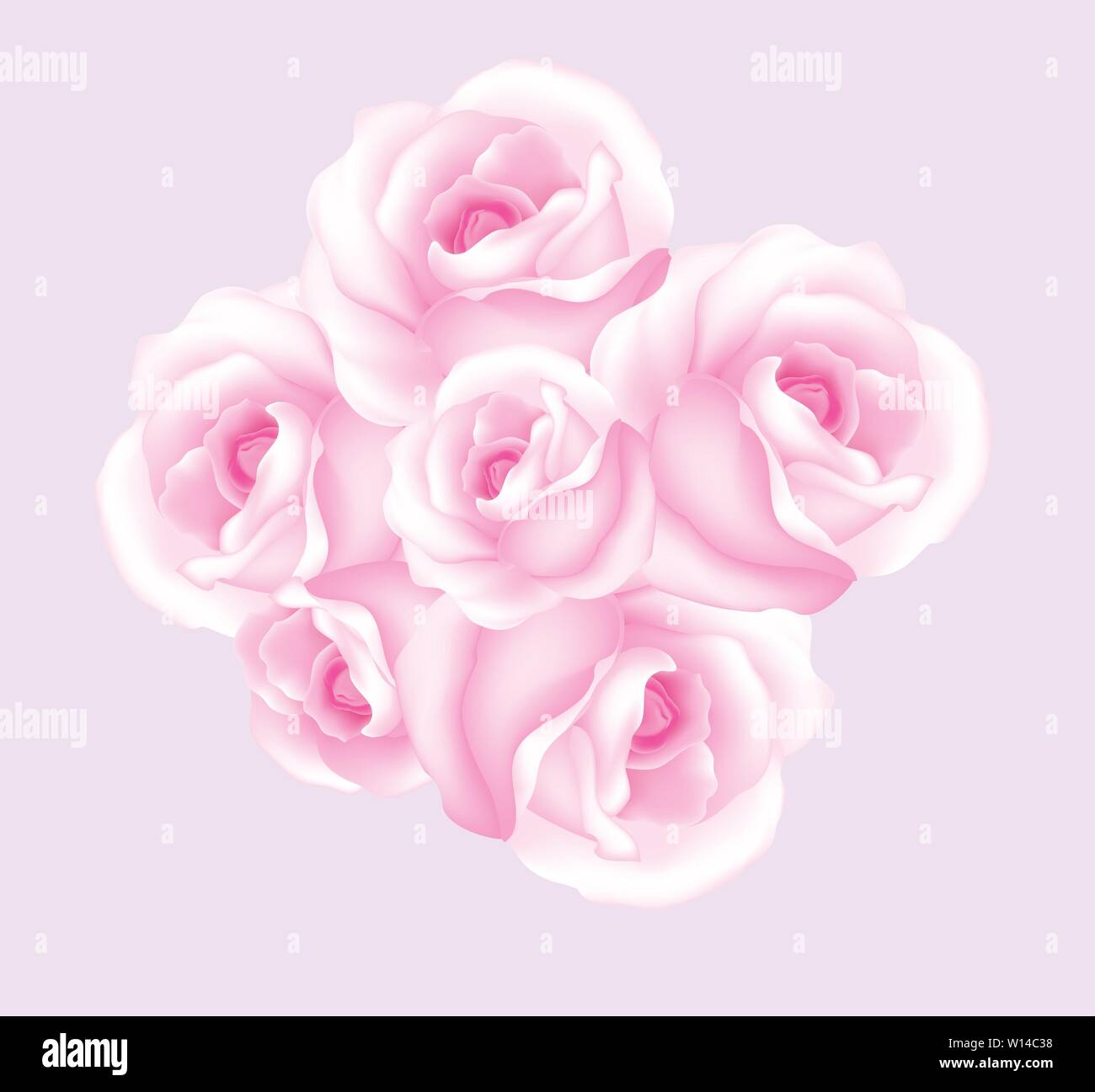Pink Roses Cut Cut pink roses hi-res stock photography and images - Alamy