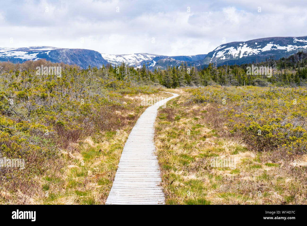 Trail in Gros Morne National Park in Newfoundland Canada Stock Photo