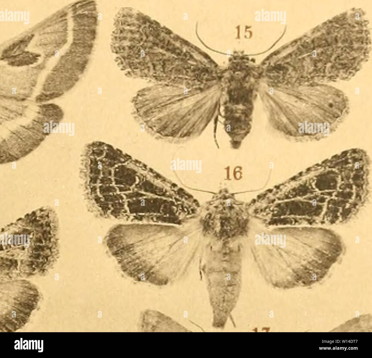 R K M Stock Photos R K M Stock Images Alamy