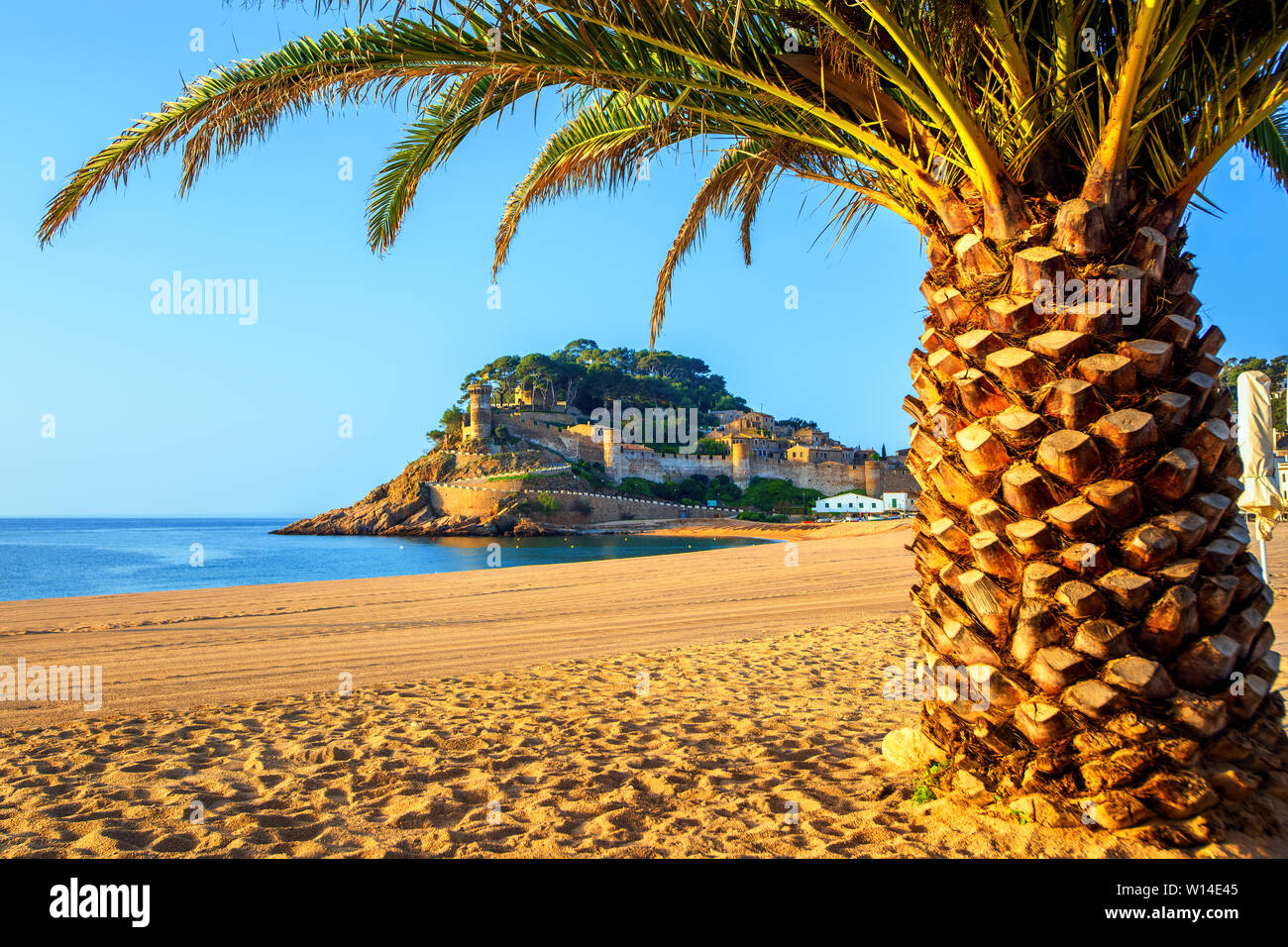 Tossa de Mar, view of the Platja Gran sand beach with palm tree and the historical walled Old Town (Vila Vella). Costa Brava, Catalonia, Spain. Stock Photo