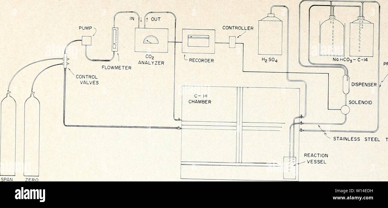 Archive image from page 11 of Design and operation of a. Design and operation of a carbon-14 biosynthesis chamber . designoperationo911smit Year: 1962  PRESSURE EQUALIZATION TUBE (COPPER) STAINLESS STEEL TUBE SPAN ZERO ANALYZER CALIBRATION GAS CYLINDERS Figttbe 9.-A schematic diagram of the carbon dioxide control equipment for the biosynthesis chamber. reaction vessel was constructed from a 200-ml. round bottom flask with a side-arm outlet and a ground glass joint inlet with stopcock. A weighed quantity of C-14 barium carbonate was placed in the flask, the inlet and outlet systems connected, a Stock Photo