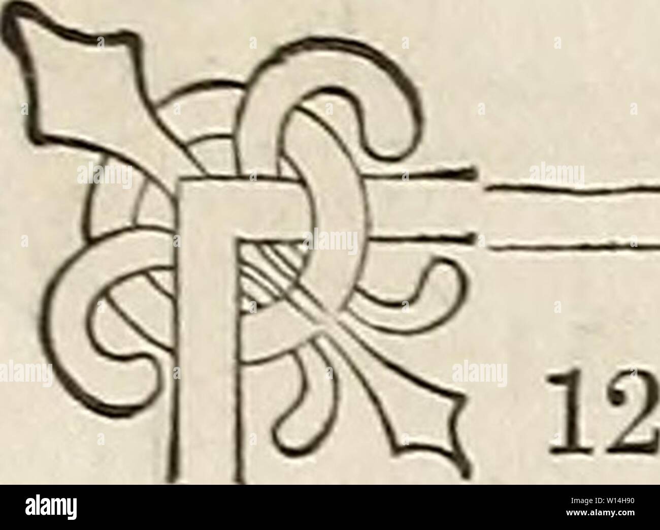 Archive image from page 15 of Descriptive list of hardy native. Descriptive list of hardy native grape vines, cultivated and for sale by George W. Campbell . descriptivelisto1865geor Year: 1865 DESCRIPTIVE LIST 0 Stock Photo