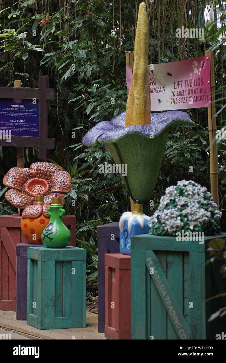 Educational sensory exhibit at Plantasia, Swansea, United Kingdom Stock Photo