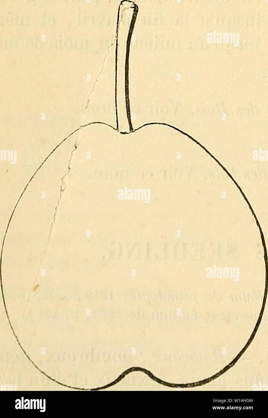 Synonyme High Resolution Stock Photography And Images Alamy Synonyme High Resolution Stock Photography And Images Alamy