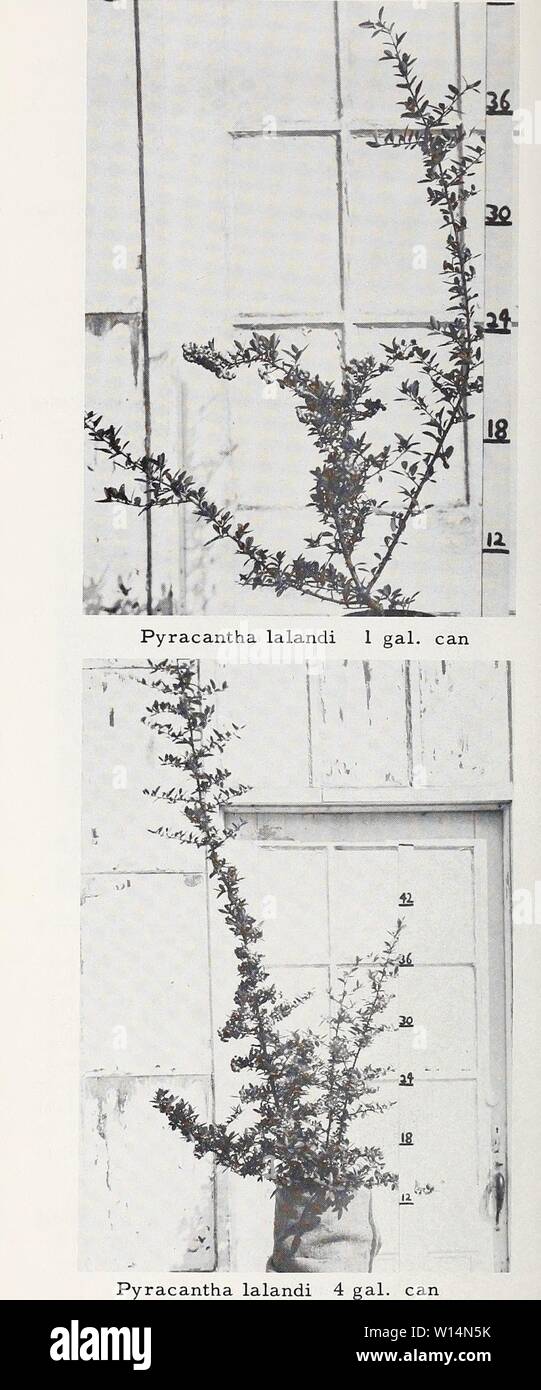 Greensboro 1960 hires stock photography and images Alamy