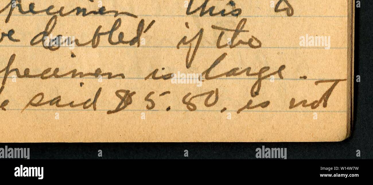 Archive image from page 27 of Diary no III [3], May. Stock Photo