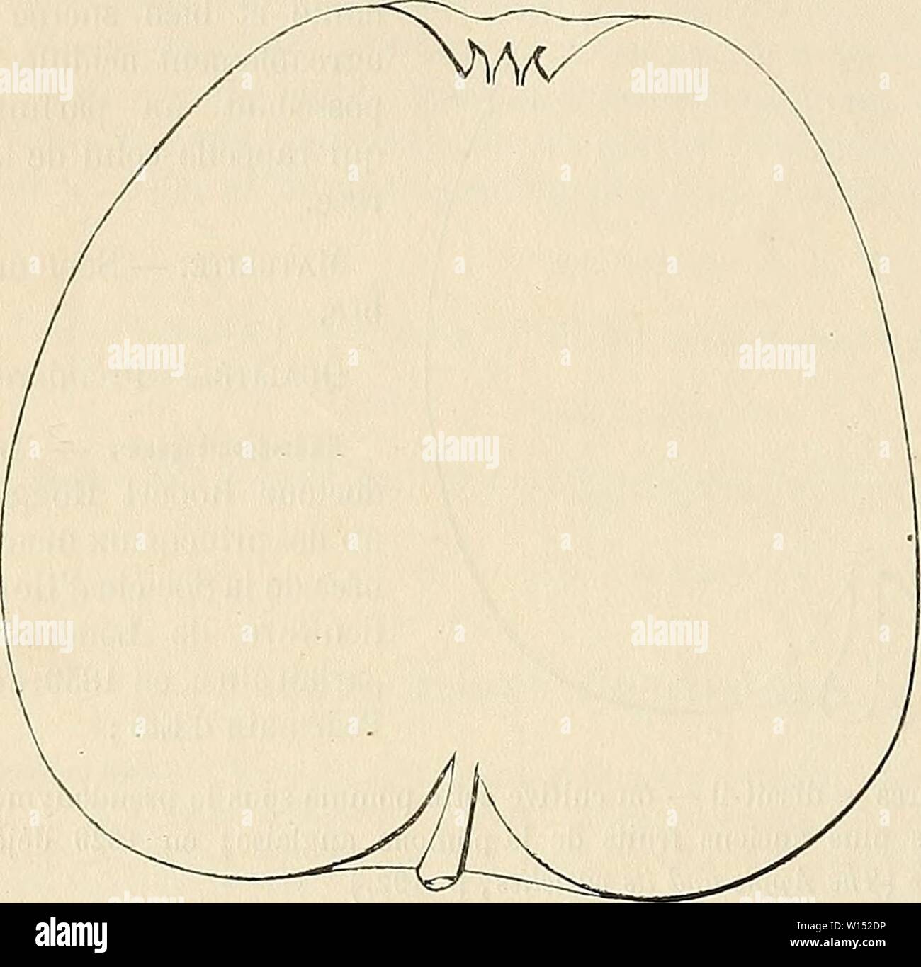 De 1448 Stock Photos De 1448 Stock Images Alamy