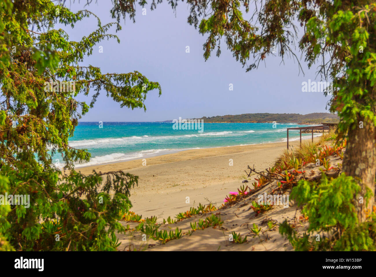 The most beautiful sandy beaches of Apulia.Salento coast: Alimini Bay, ITALY (Lecce). The coast is characterized by duneswith Mediterranean maquis. Stock Photo
