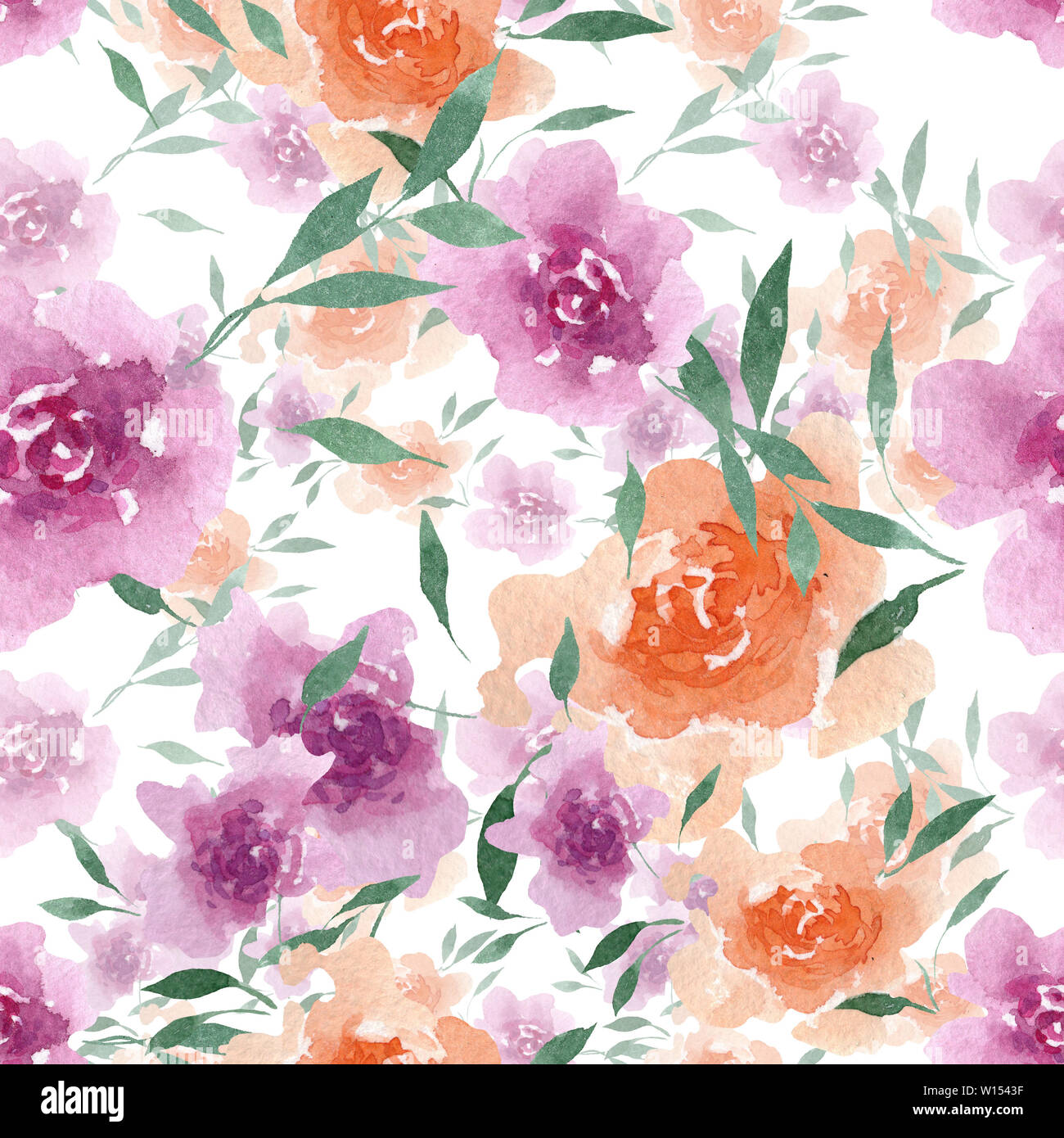 Peony floral botanical flowers. Watercolor background illustration set