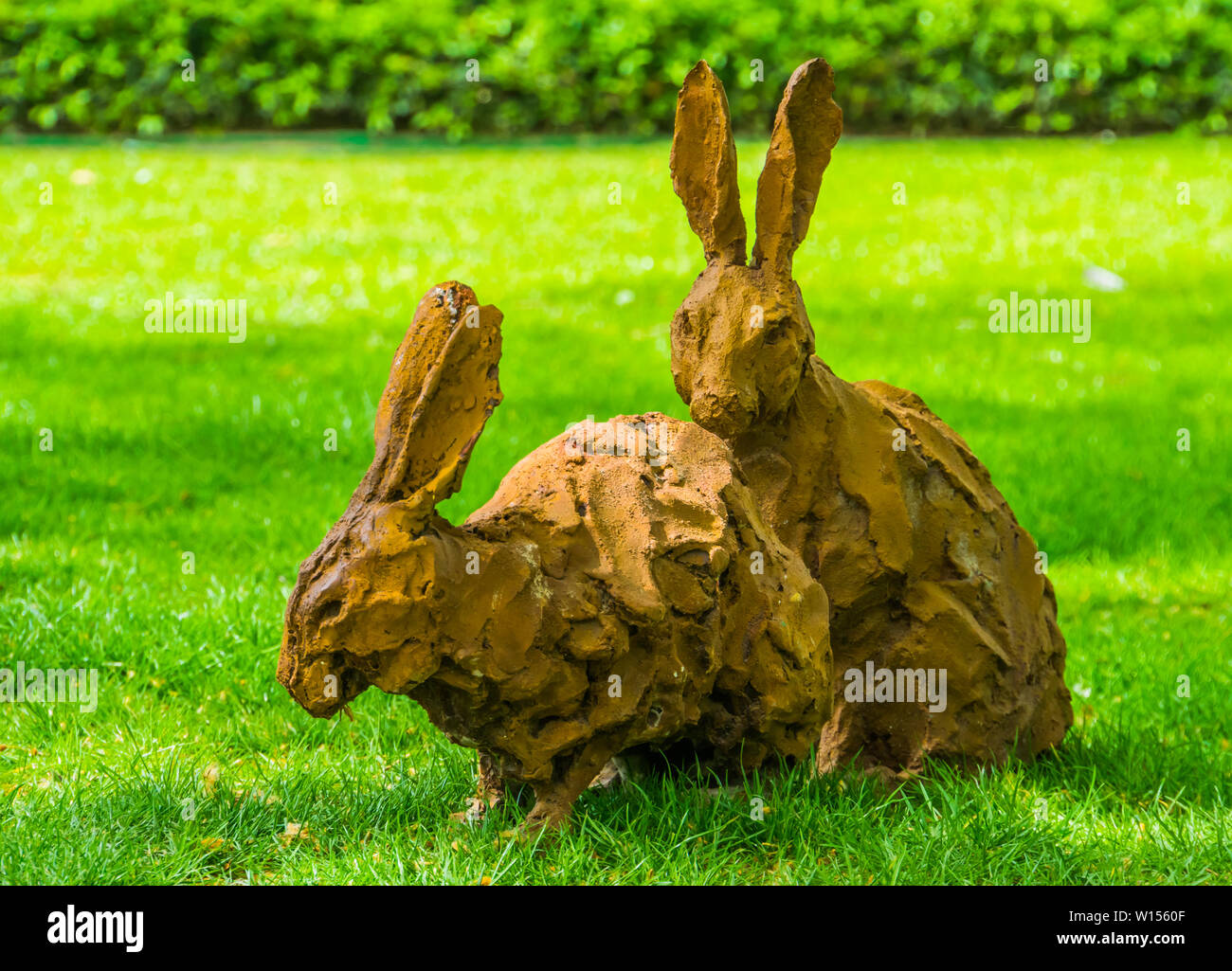 para grass for rabbit