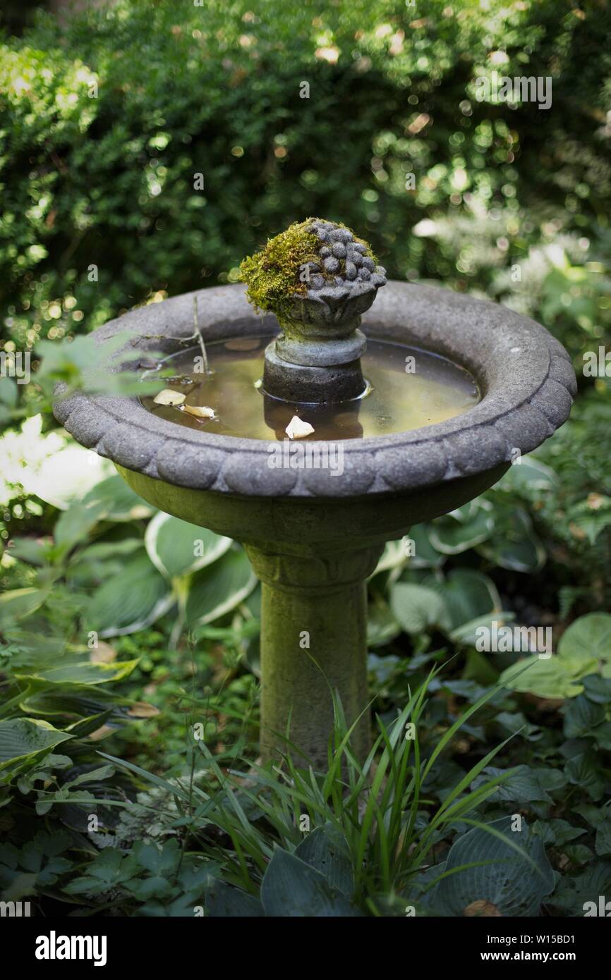 A mossy bird bath at Deepwood Museum and Gardens in Salem, Oregon, USA