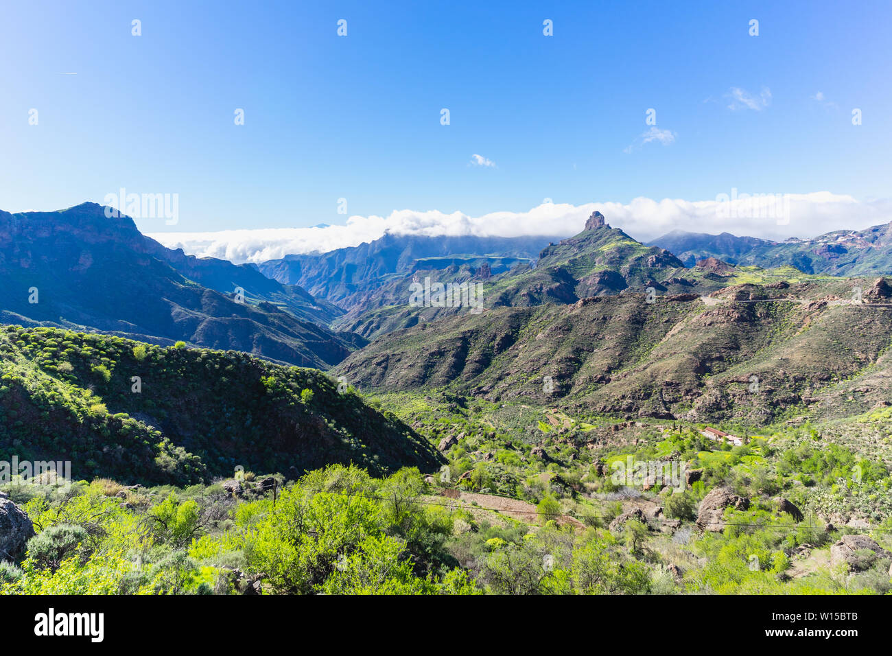 tom reservoir Udvalg Nature and landscape of the Canary Islands - Mountains of Gran Canaria  Stock Photo - Alamy
