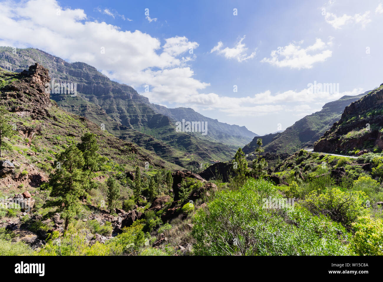 Nature and landscape of the Canary Islands - Mountains of Gran Canaria  Stock Photo - Alamy