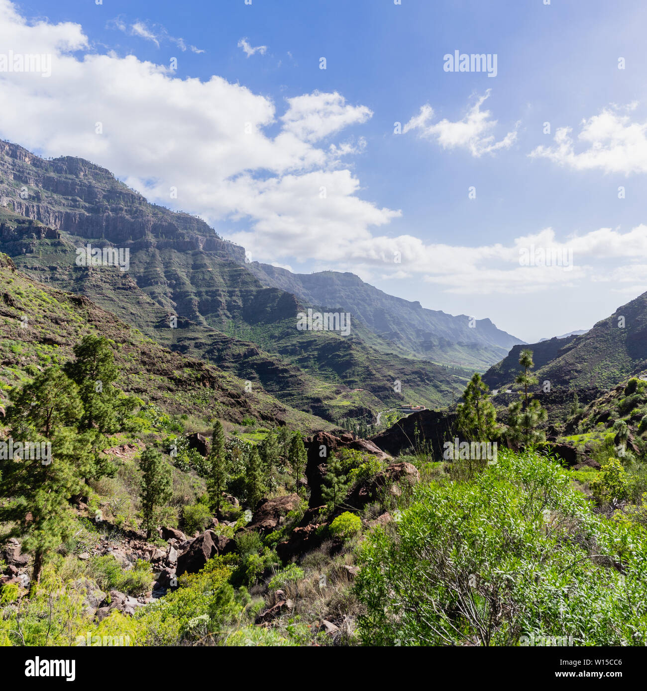 Nature and of the Canary Islands - Mountains of Gran Stock Photo - Alamy