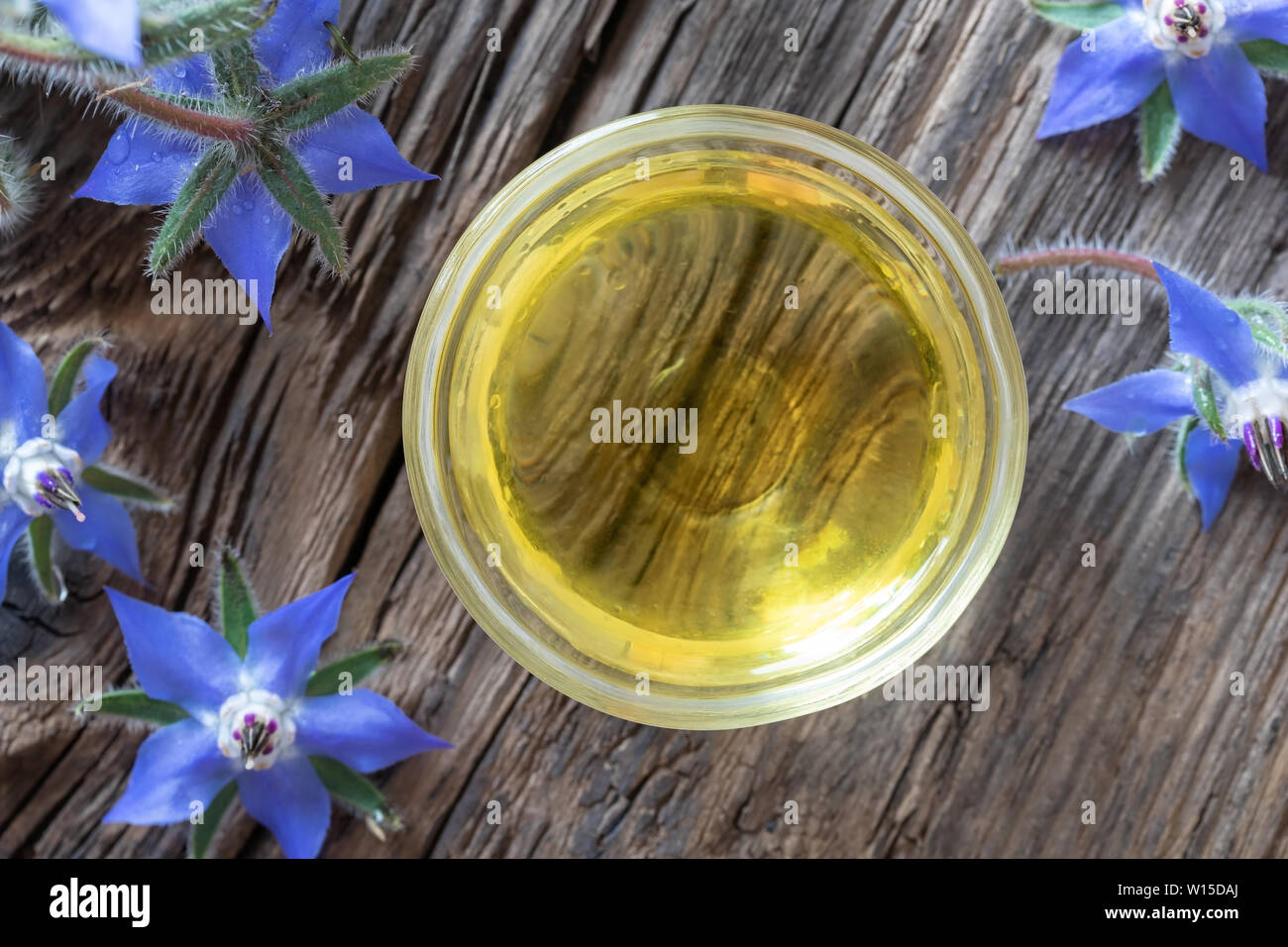 A bowl of borage oil with fresh blooming plant, top view Stock Photo