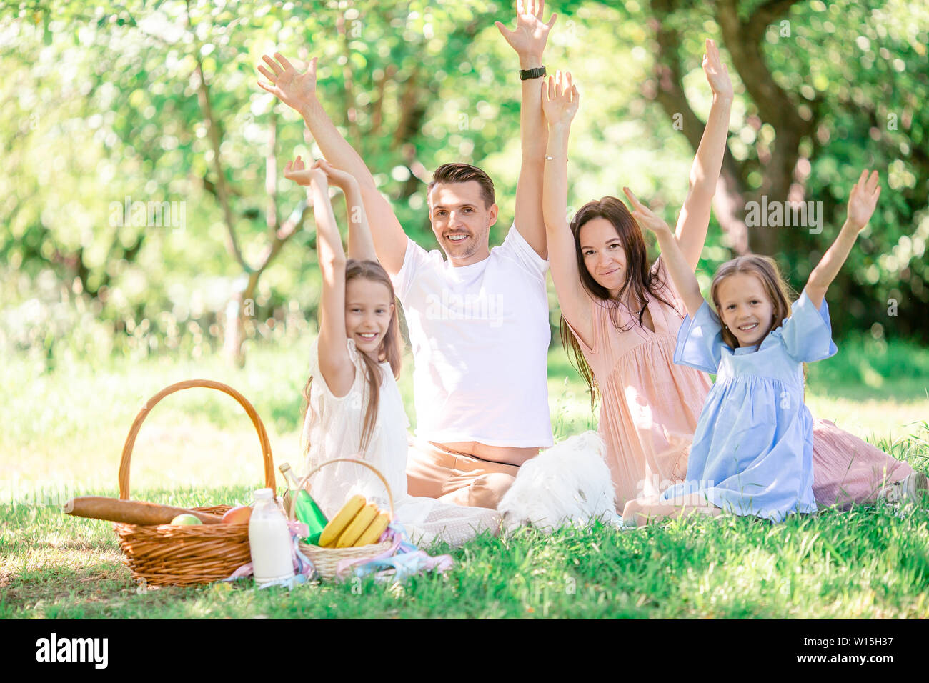 Happy family on a picnic in the park on a sunny day Stock Photo - Alamy