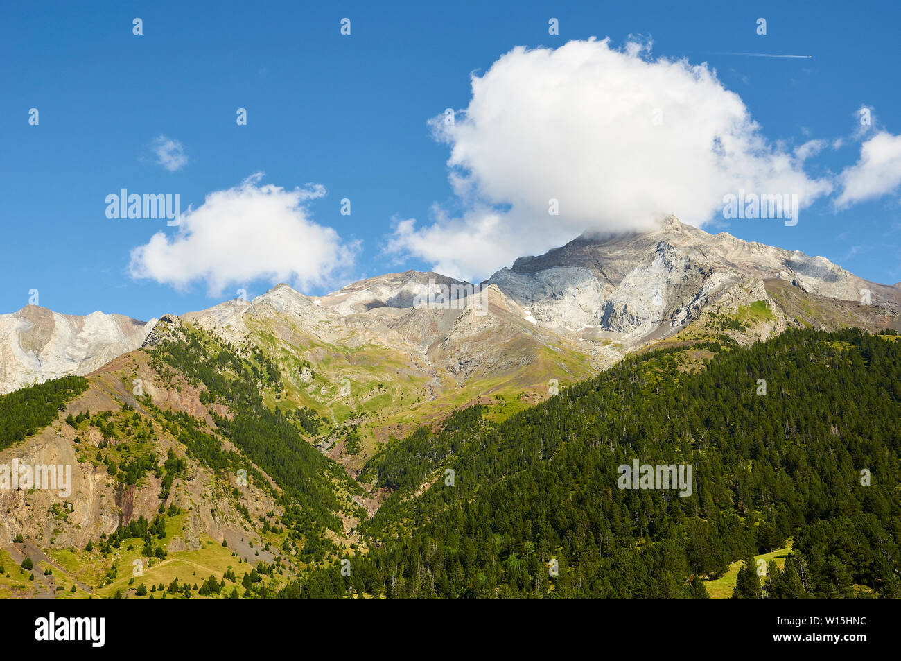 Pinar del Clot mountain pine forest (Pinus mugo) with Posets massif at the background (Viadós, Chistau valley, Sobrarbe,Huesca, Pyrenees,Aragon,Spain) Stock Photo