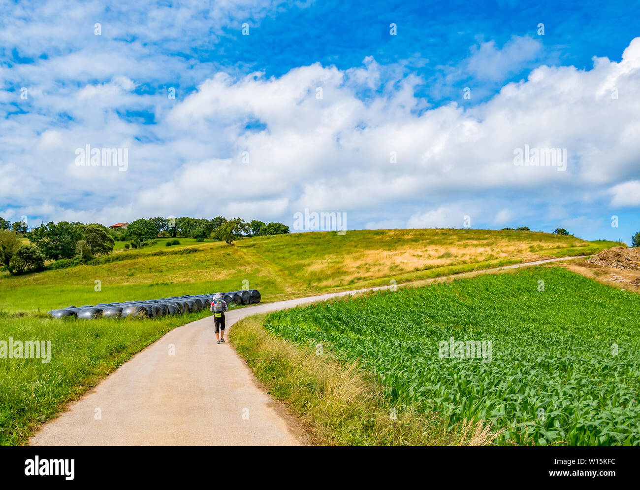 Pilgrim with backpack walking the Camino de Santiago in Spain, Camino