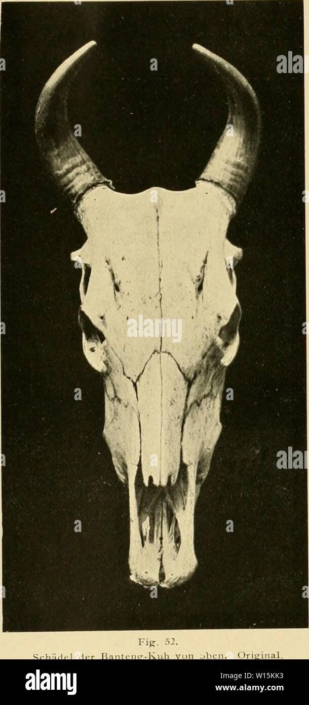 Stärksten High Resolution Stock Photography and Images - Alamy