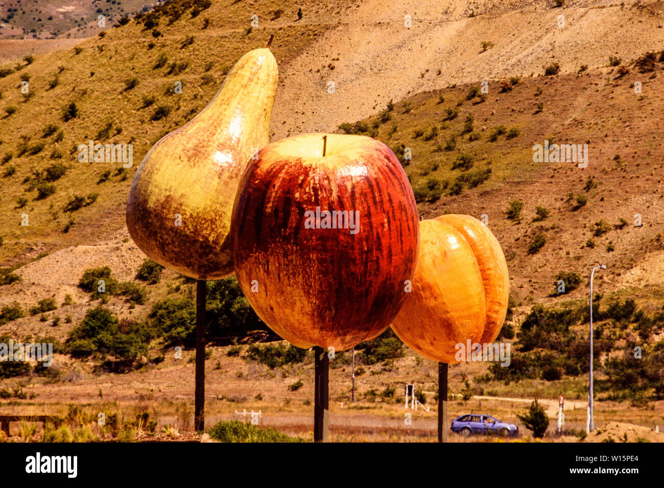 New Zealand, South Island. Giant sculptures of an apricot, apple, pear and nectarine in Cromwell.  Photo taken November 1989. Photo: © Simon Grosset. Stock Photo