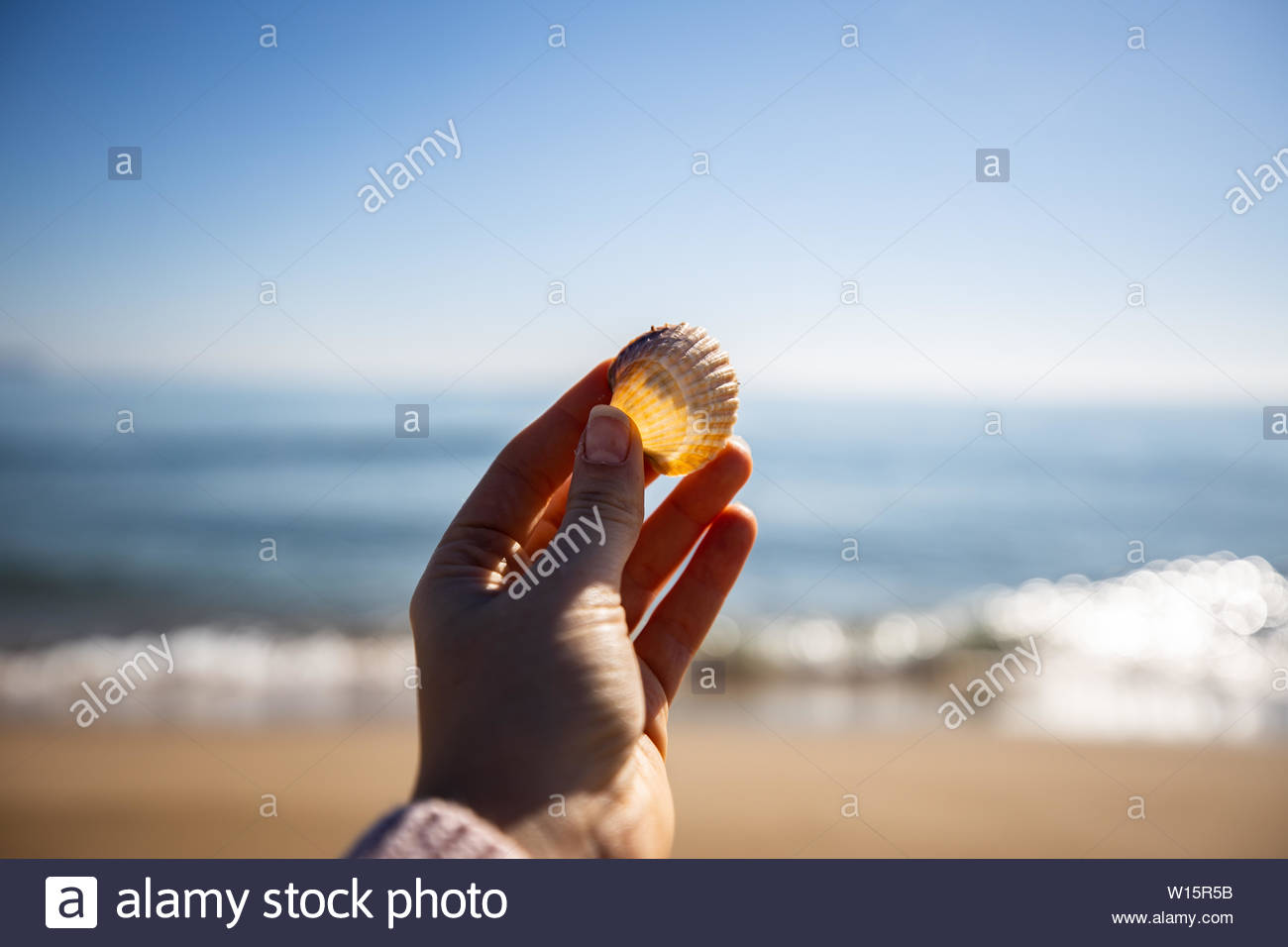 Barcelona Beach Woman Stock Photos Barcelona Beach Woman