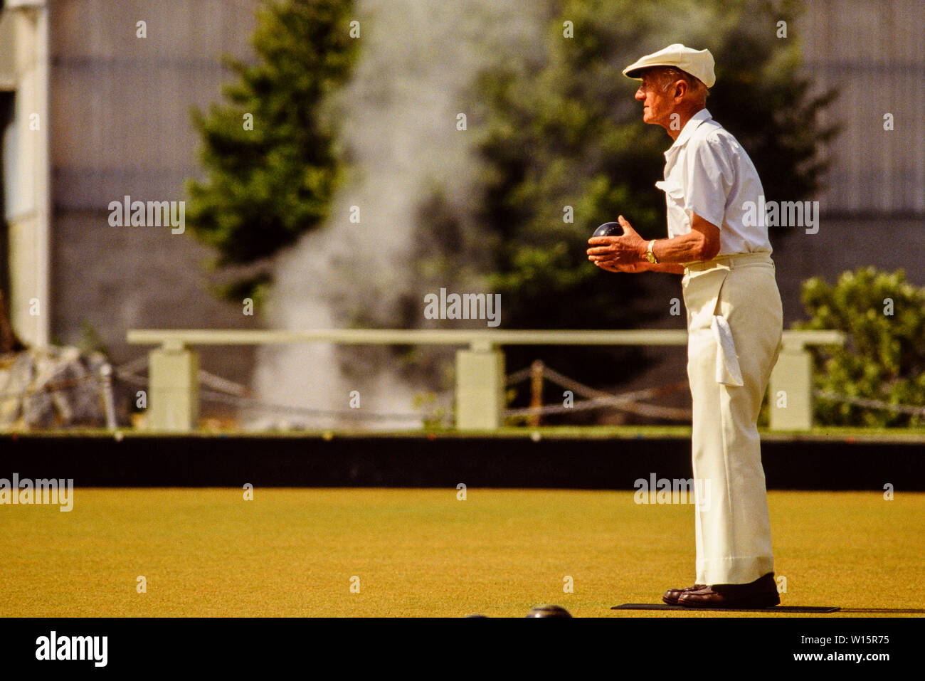 New Zealand, North Island, Rotorua. Elderly players at Rotorua bowling club. Lawn bowls. Steam in the background is from the geothermal activity in th Stock Photo