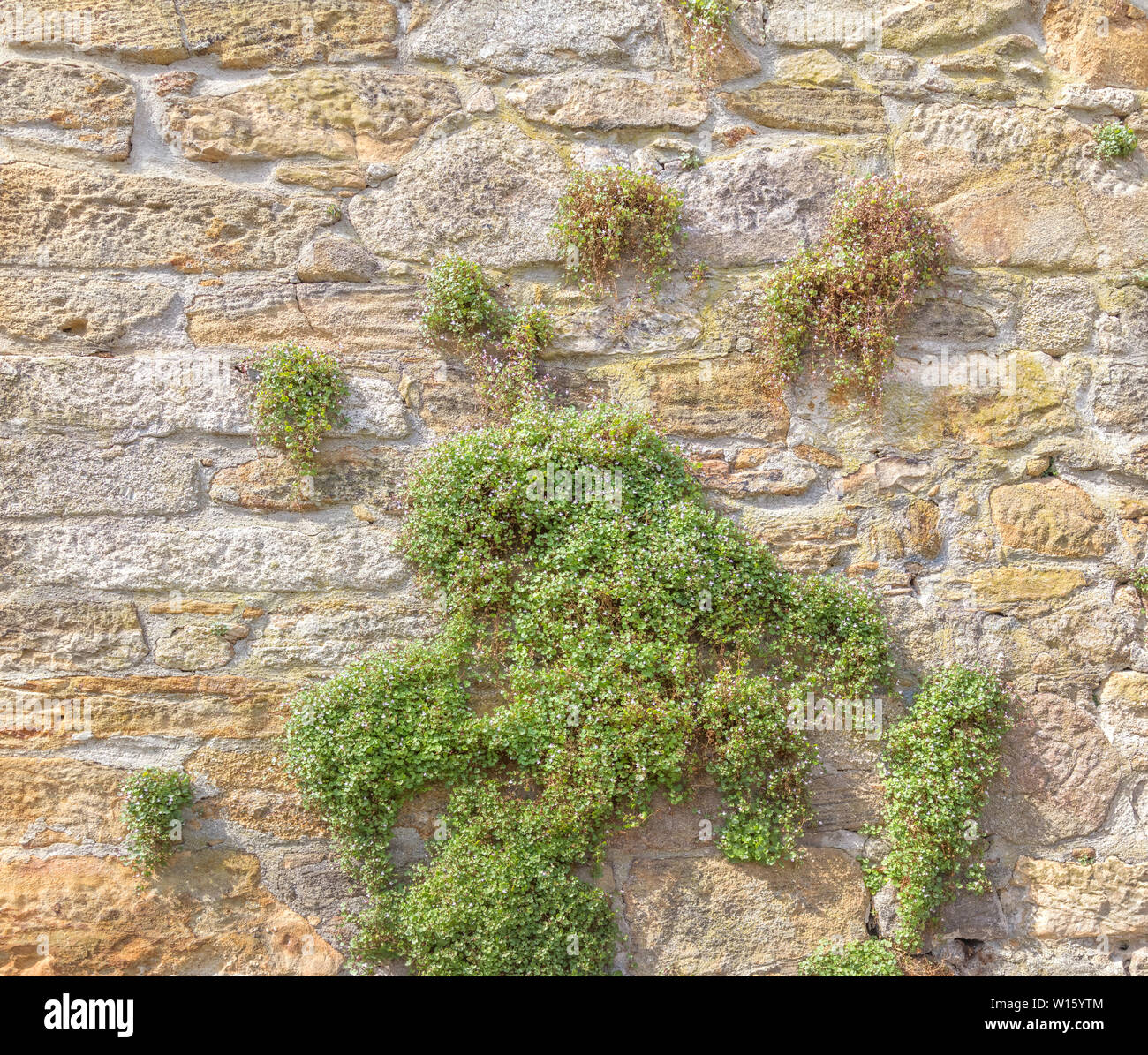 Stonewalling Pattern Old masonry stonewall pattern Stock Photo - Alamy