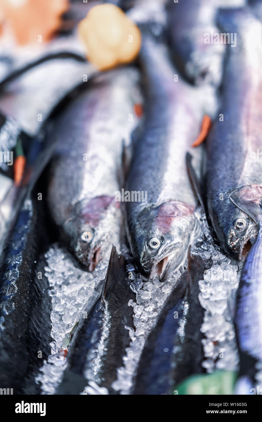 Sale of fresh fish, salmon on ice in farmers bazaar. Open showcases of