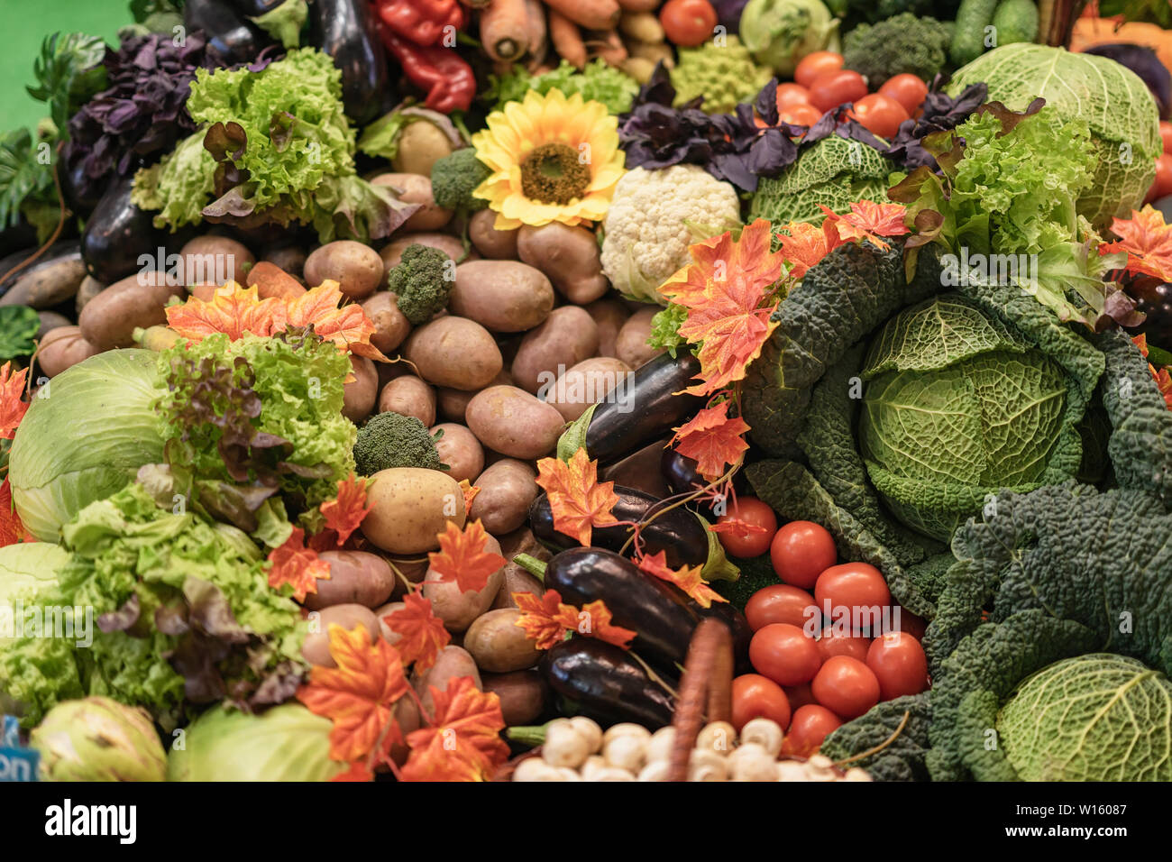 Assorted fresh ripe organic vegetables on farmers market. Top view