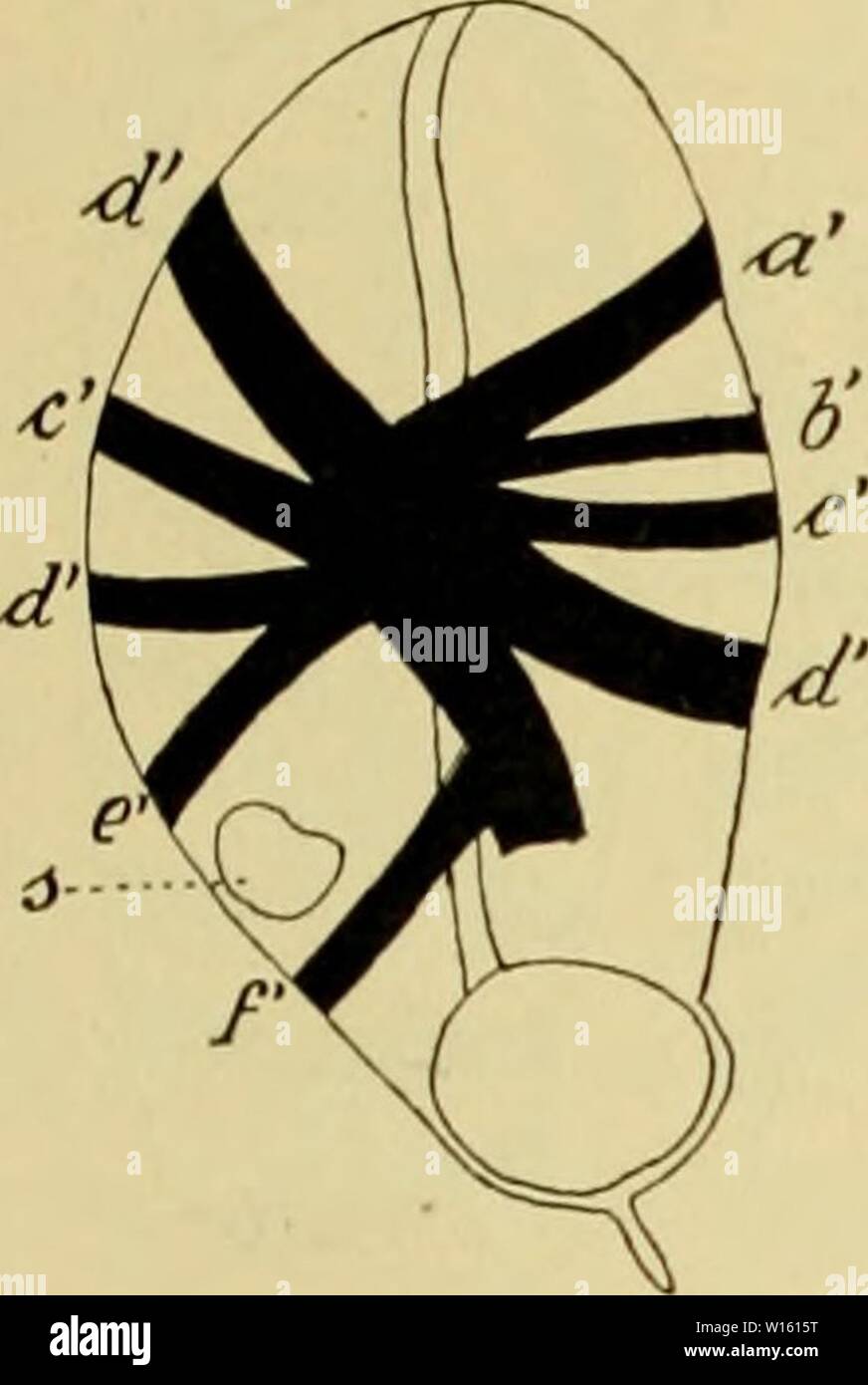 polar look kéo power