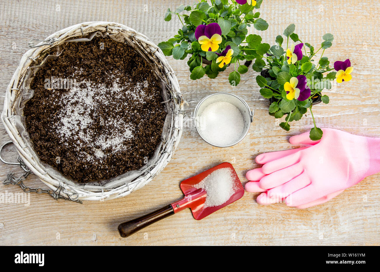 Water gel granules absorb water and stored water is available to release gradually to plant