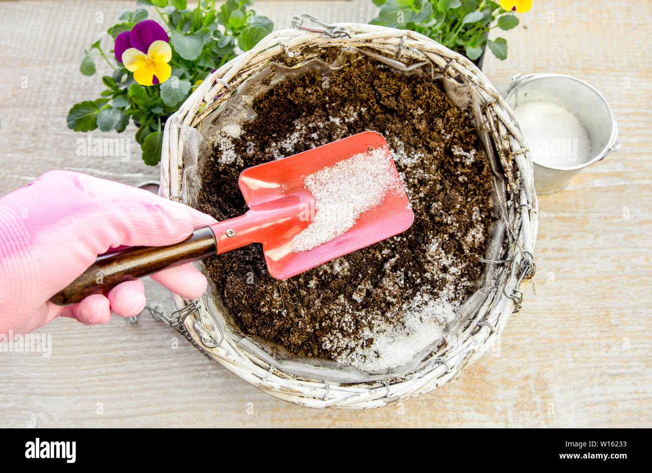 Water gel granules absorb water and stored water is available to release gradually to plant