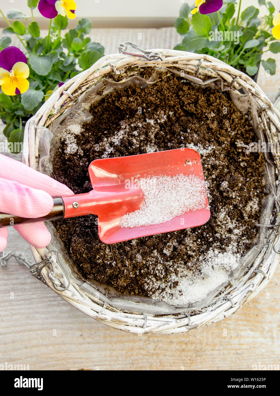 Water gel granules absorb water and stored water is available to release gradually to plant